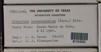 Image Associated With the Occurence